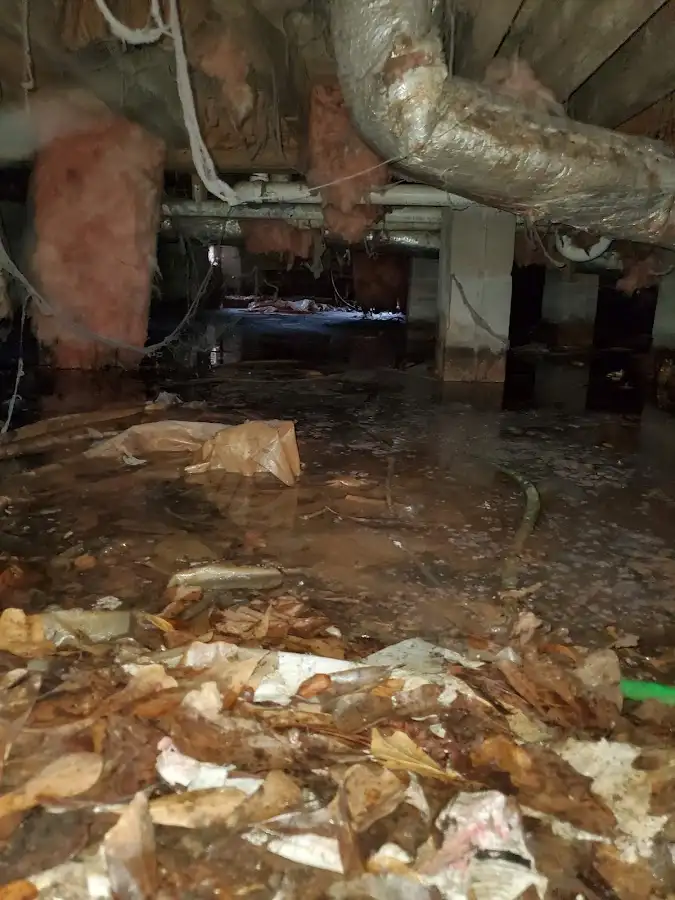 Crawl space flood assessment for Leak Detection & Repair in Horseshoe Bay