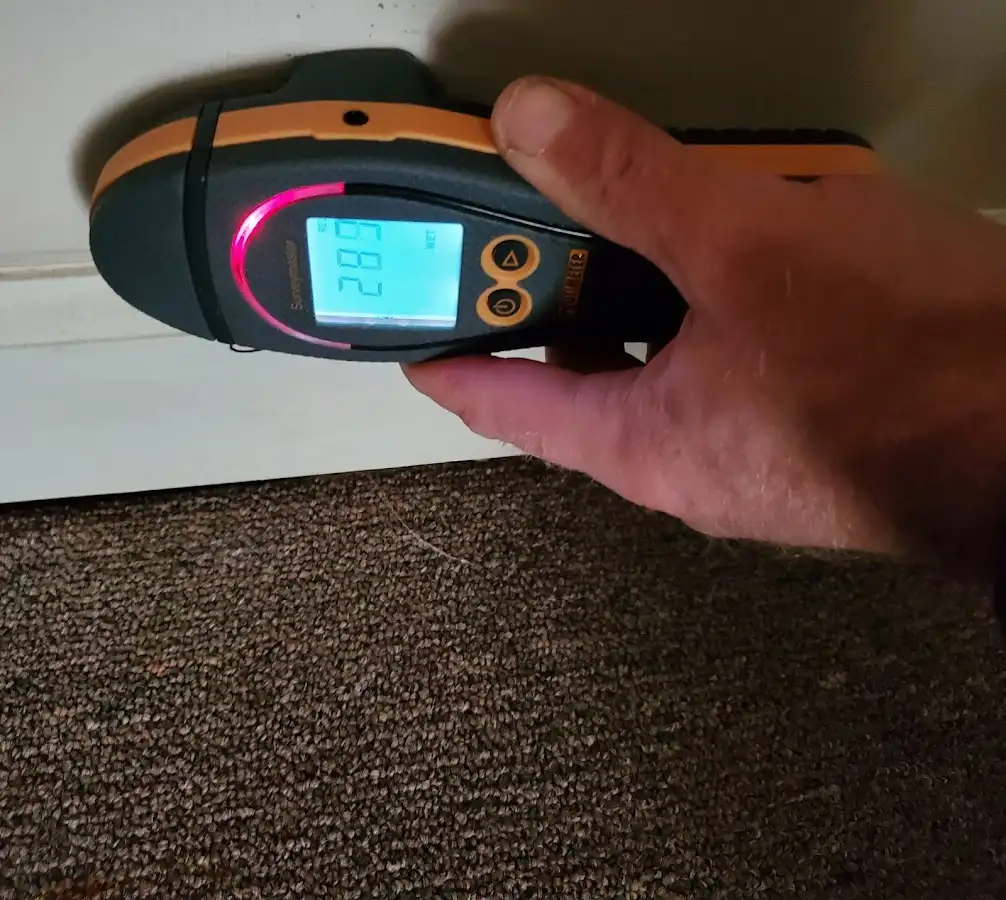 Moisture detection at baseboard during Storm Damage Restoration in Horseshoe Bay